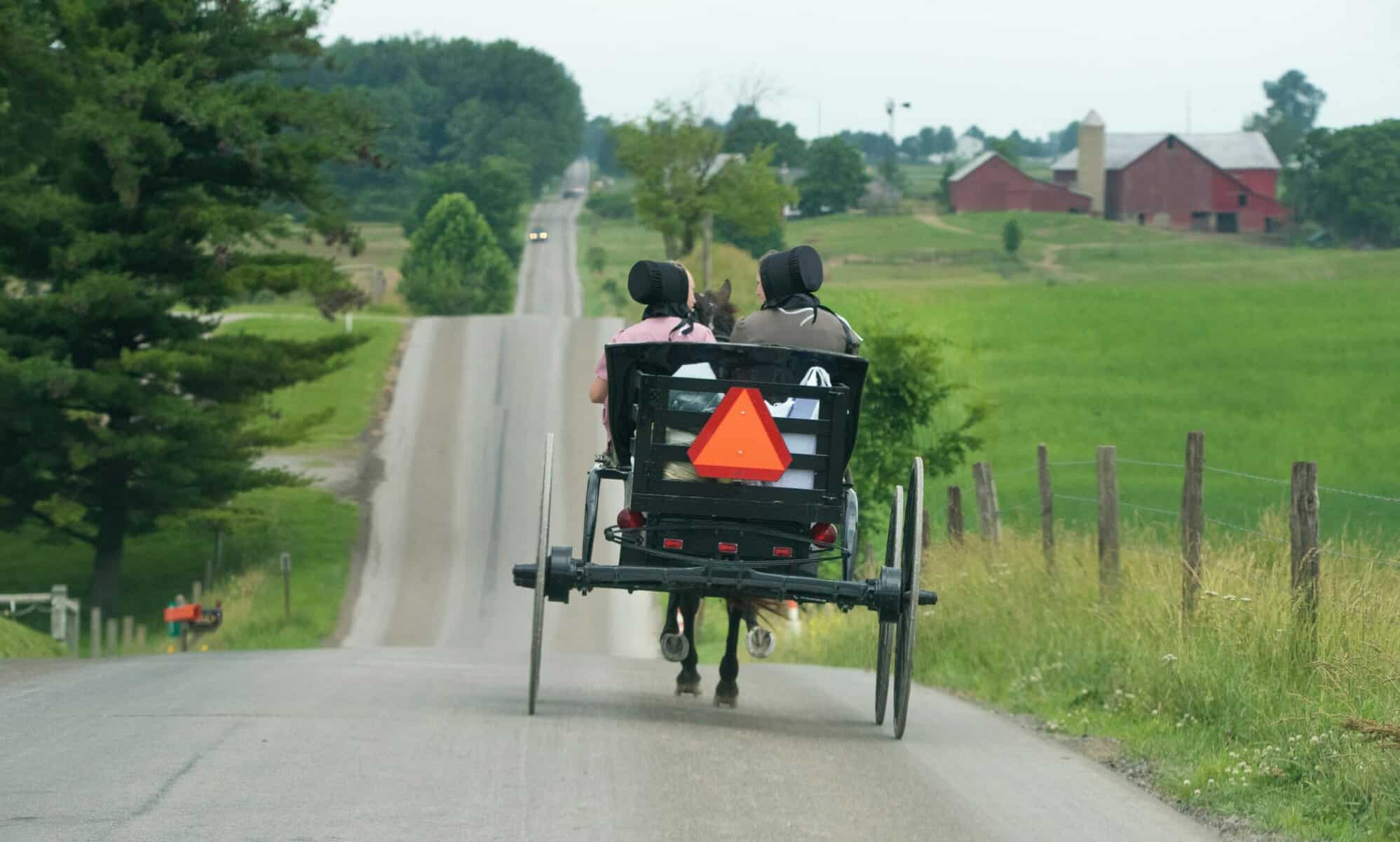 Mehr über den Artikel erfahren Konservativ oder progressiv?